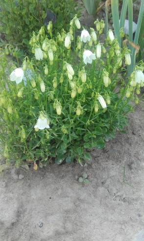 20160613_183500.jpg
