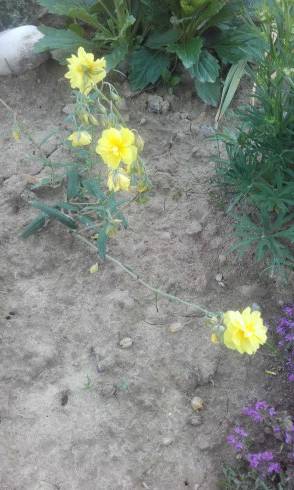 20160613_183554.jpg