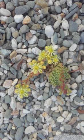 20160613_183712.jpg