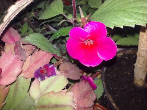 20160627_204139.jpg