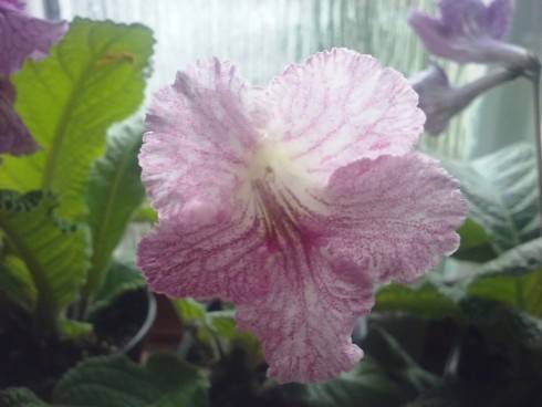 20160701_064826_Burst01.jpg