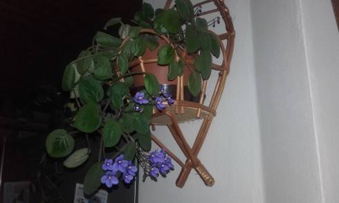 20160703_085849.jpg