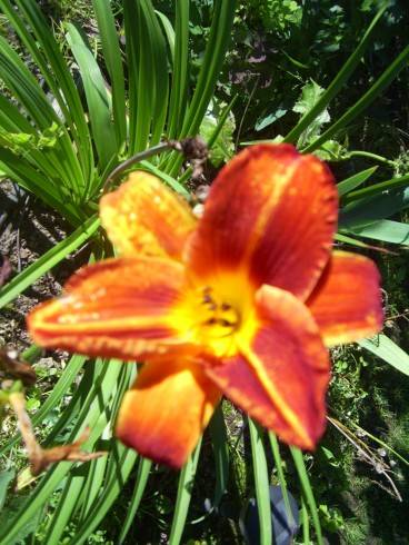 PIC_0517.JPG