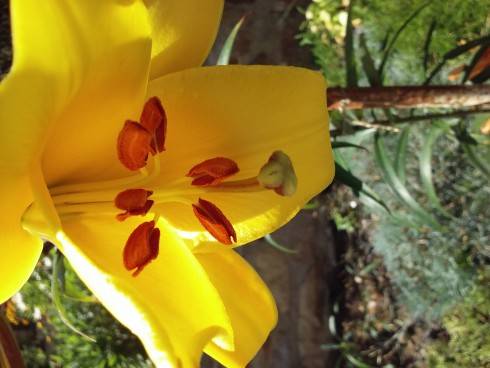20160703_144040_Burst01.jpg