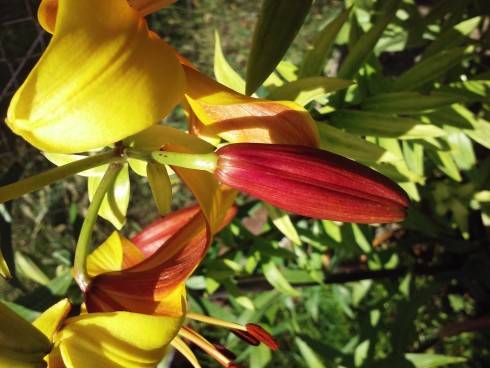 20160703_144024_Burst01.jpg
