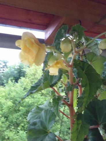 20160702_200716.jpg