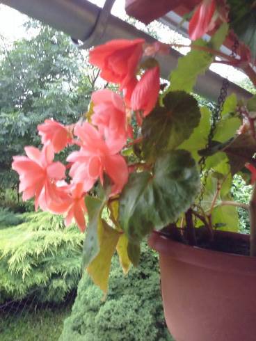 20160702_200727_Burst01.jpg