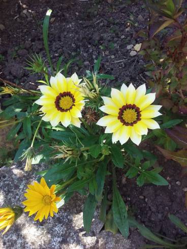 20160827_135719.jpg