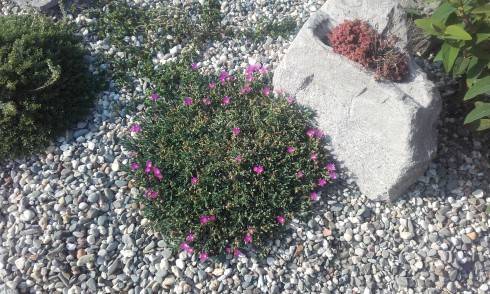 20160913_161056.jpg