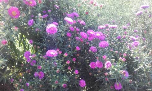 20160913_161002.jpg