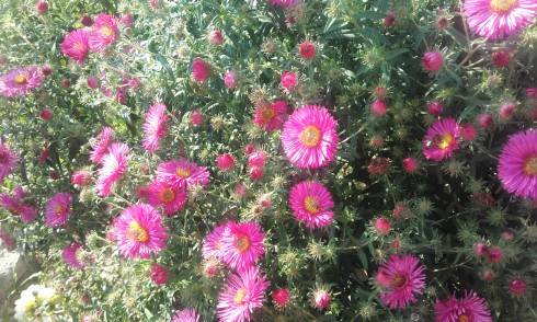 20160913_160954.jpg