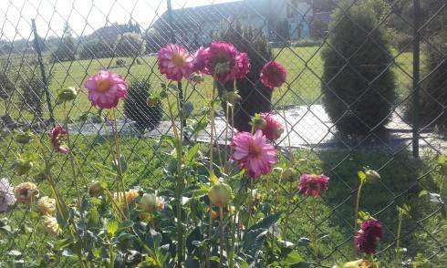 20160913_160949.jpg