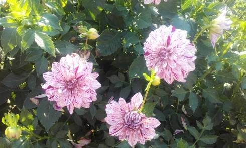 20160913_160937.jpg