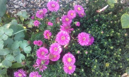 20160911_073744.jpg
