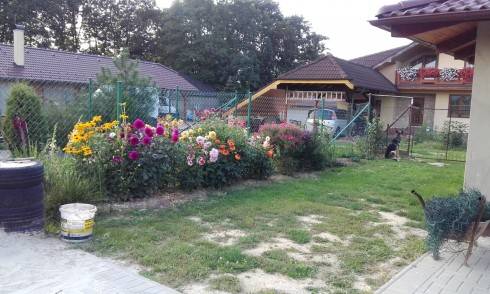 20160914_175133.jpg