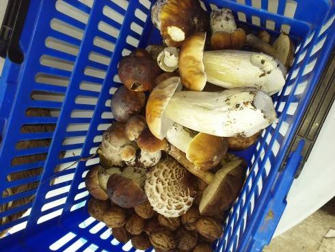 20161015_120313.jpg