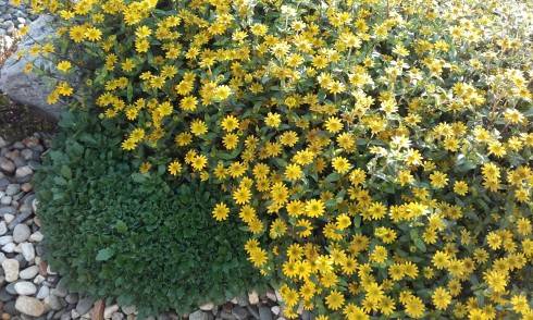 20161028_121743.jpg