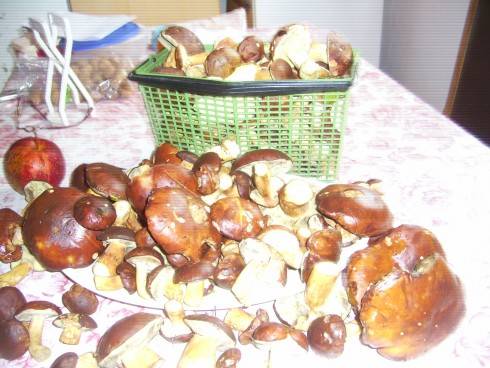 PIC_0676.JPG