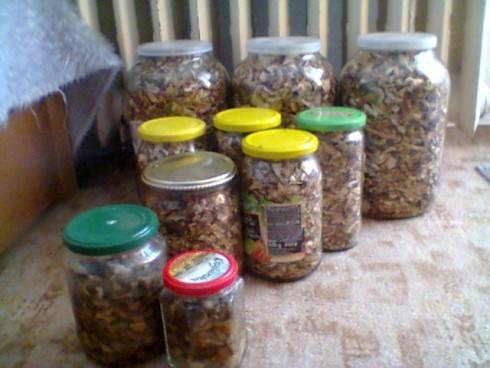 Houby suš.jpg