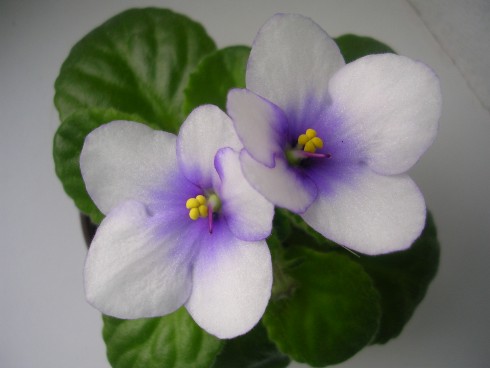 DSCN5804.JPG