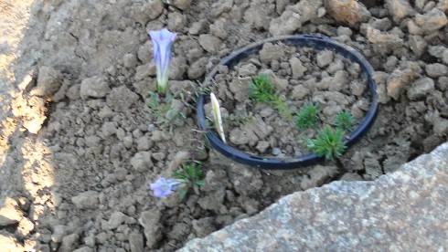 043.JPG