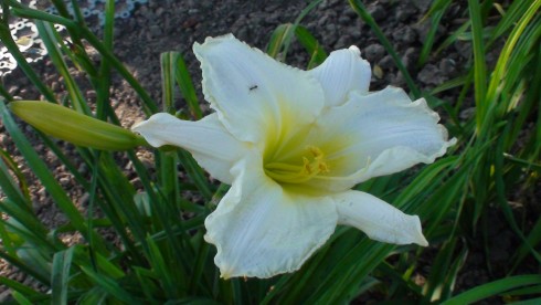 DSC00390.JPG