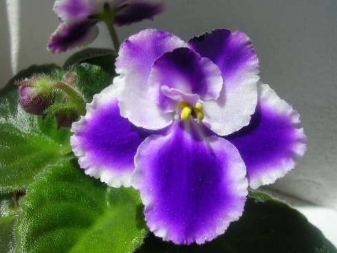 DSCN5820.JPG