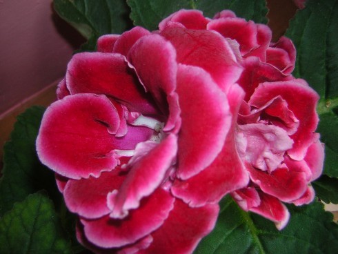 DSCN4141.JPG