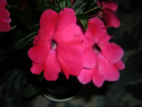 DSCN4298.JPG