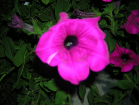 DSCN4306.JPG