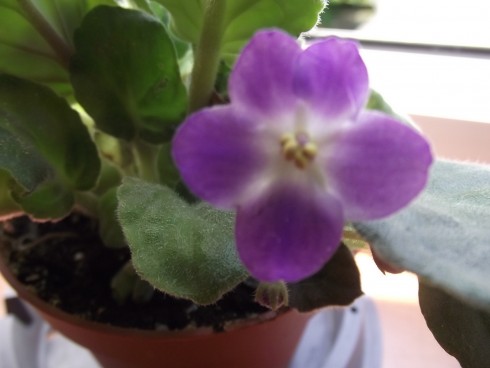 DSCF1735.jpg