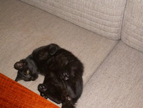Můra 9.2010 006.jpg