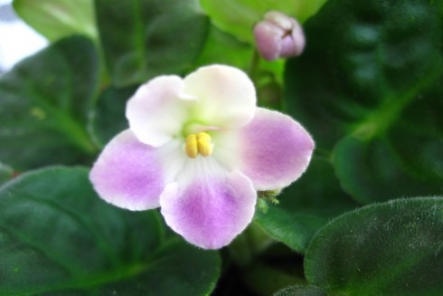 9.11.2010 001.jpg