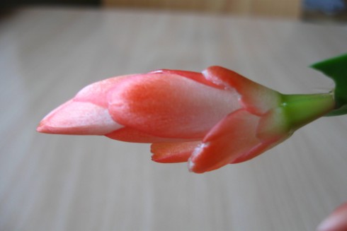9.11.2010 004.jpg