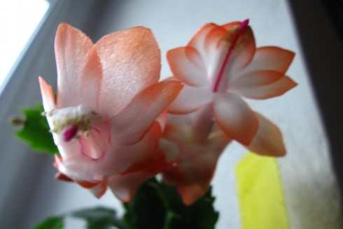 13.11.2010 002.jpg