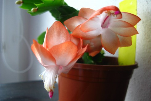 13.11.2010 005.jpg