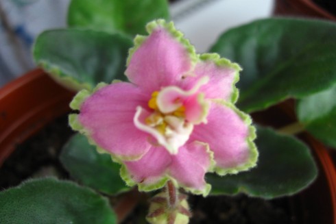 13.11.2010 003.jpg