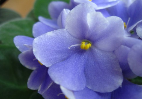 1.1.2011 005.jpg