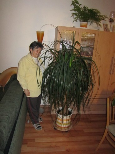001.JPG