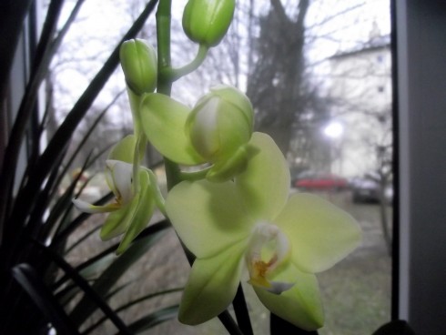 DSCF6870.jpg