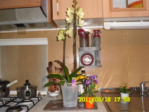 SAM_0705.JPG