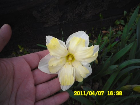 Snímek 878.jpg