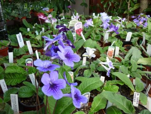 10.4.2011 035.jpg