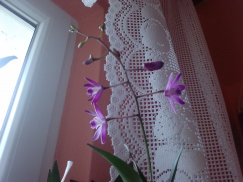 110416_125856.jpg