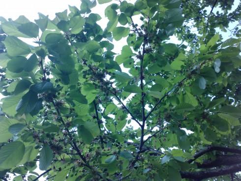 110503_094906.jpg