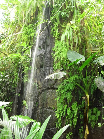 Botanická 2.jpg