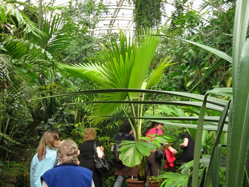 Botanická 4.jpg