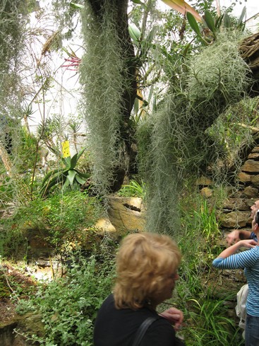 Botanická 5.jpg