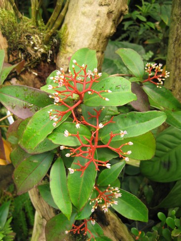 Botanická 8.jpg