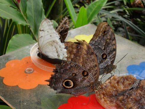 duben 2011 015.jpg